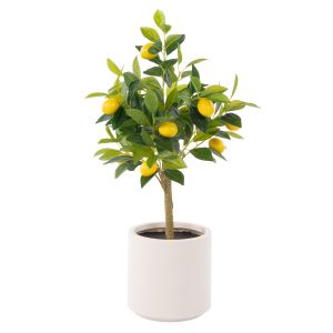 Rogue Lemon Tree Pot Green 38x40x76cm