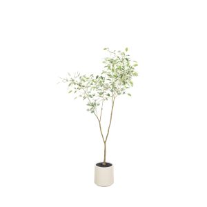 Rogue Ficus Tree Potted Green 70x70x150cm