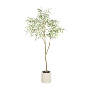 Rogue Ficus Tree Potted Green 90x90x180cm