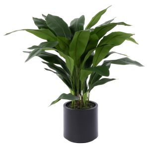 Rogue Cast Iron Plant UV Potted Green 40x40x90cm