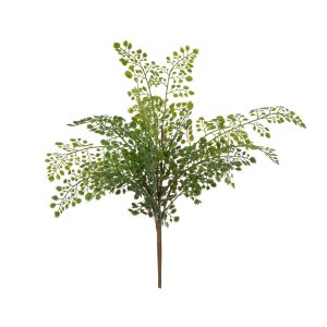 Rogue Maiden Hair Fern Green 25x25x45cm