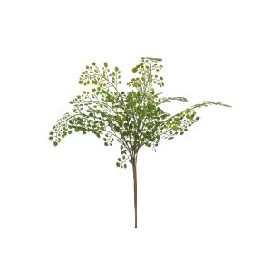 Rogue Maiden Hair Fern Green 25x25x42cm