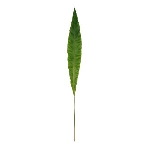 Rogue Fern Leaf Green 2x11x116cm