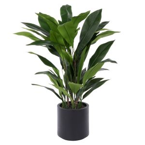 Rogue Cast Iron Plant UV Potted Green 50x50x120