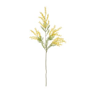 Rogue Wattle Spray Yellow 26x19x85cm