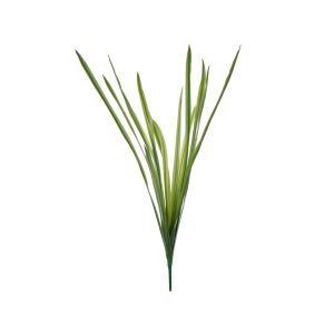 Rogue Grass Plant Spray Green 30x30x60cm