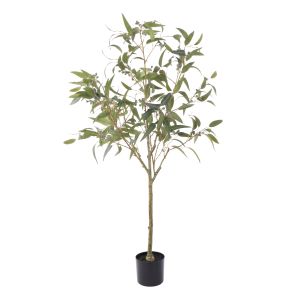 Rogue Eucalyptus Gumnut Tree - Garden Pot Green 17x14x170cm