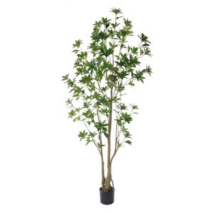 Rogue Japonica Tree UV - Garden Pot Green 55x55x180cm