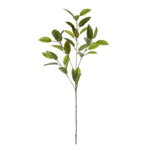 Rogue Viburnum Spray Green 23x23x71cm