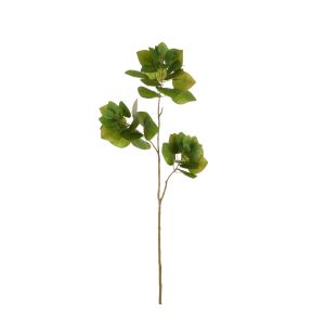 Rogue Smoke Bush Spray Green 33x13x90cm
