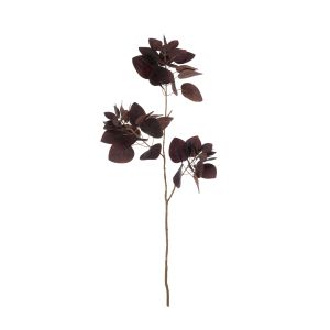 Rogue Smoke Bush Spray Burgundy 33x13x90cm