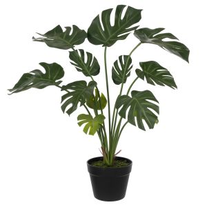 Rogue Monstera Plant - Garden Pot Green 41x32x65cm