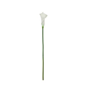 Rogue Calla Lily Stem White 5x5x63cm