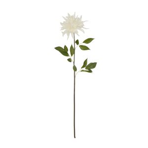 Rogue Dahlia Stem White 15x15x76cm
