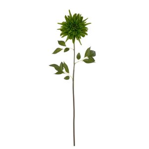 Rogue Dahlia Stem Green 15x15x76cm