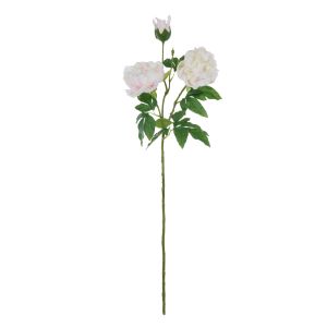 Rogue Peony Spray Real Touch White & Pink 20x20x81cm