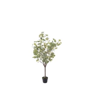 Rogue Eucalyptus Tree - Garden Pot Green 72x78x130cm
