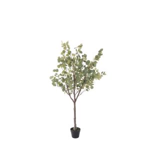 Rogue Eucalyptus Tree - Garden Pot Green 90x95x150cm