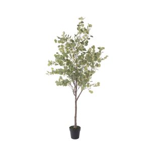 Rogue Eucalyptus Tree - Garden Pot Green 90x90x185cm