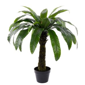 Rogue Bird Nest Fern UV - Garden Pot Green 80x80x90cm