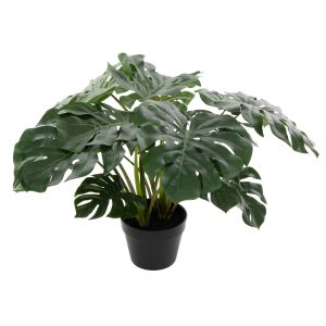 Rogue Monstera Plant UV - Garden Pot Green 45x45x60cm
