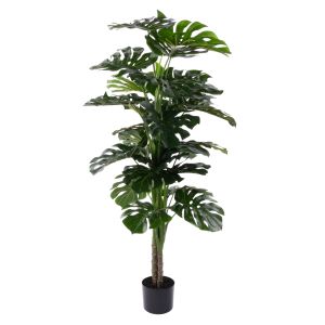 Rogue Monstera UV - Garden Pot Green 80x80x140cm
