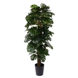 Rogue Monstera UV - Garden Pot Green 80x80x180cm