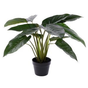 Rogue Philodendron Plant UV - Garden Pot Green 30x30x60cm