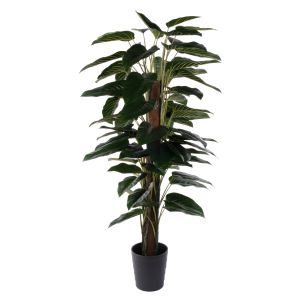 Rogue Philodendron UV - Garden Pot Green 80x80x180cm