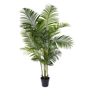 Rogue Areca Palm UV - Garden Pot Green 80x80x180cm