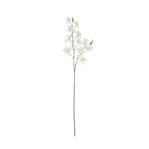 Rogue Dendrobium Spray White 20x15x92cm