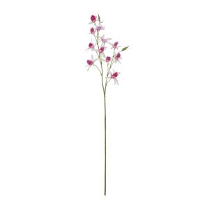 Rogue Dendrobium Spray White & Purple 20x15x92cm