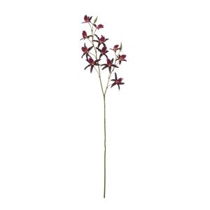 Rogue Dendrobium Spray Burgundy 20x15x92cm