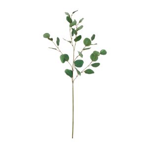 Rogue Round Eucalyptus Spray Green 8x10x90cm