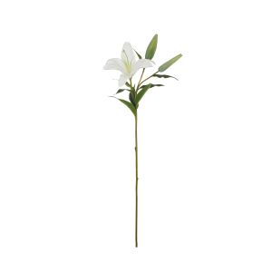 Rogue Casablanca Lily White 18x24x80cm
