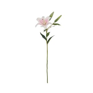 Rogue Casablanca Lily Pink 18x24x80cm