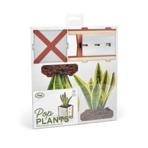 Fred Pop Desk Plants - Snake Plant Green 18x20x0.6cm