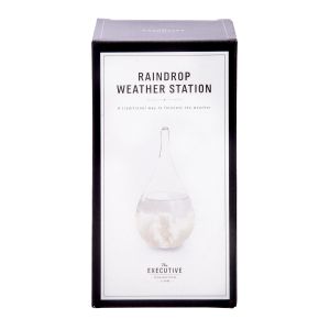 The Executive Collection Raindrop Weather Station Multi-Coloured 7.5X7.5X15cm