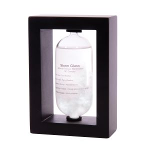 Maverick Capsule Weather Station Black 10.2x5.1x15cm