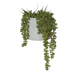 Rogue String of Pearls-Cement Pot Green/Grey 15x15x27cm