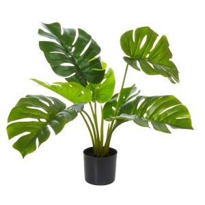 Rogue Monstera Plant-Garden Pot Green/Black 45x45x65cm