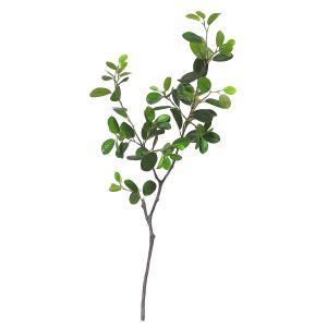 Rogue Oriental Ficus Branch Green 43x20x96cm