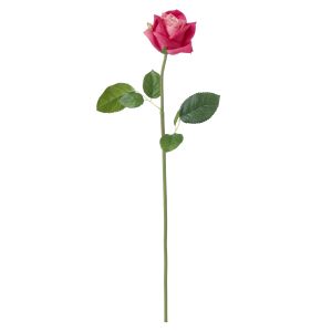 Rogue Rose Mimi Fuchsia 46cm
