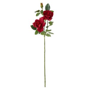 Rogue Rose Denise Red 80cm