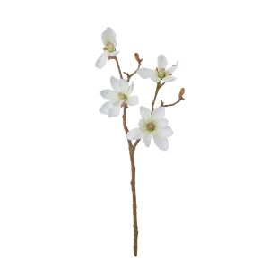 Rogue Mini Magnolia Stem w/o Leaves White 29x12x46cm