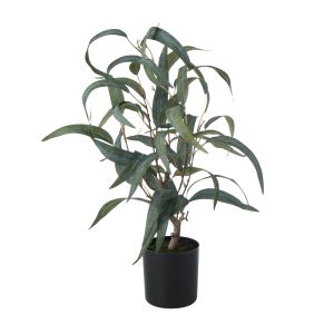 Rogue Eucalptus Plant Green 10x10x52cm