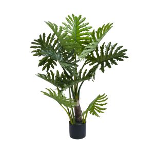 Rogue Lacy Philodendron Tree Green 90x90x100cm