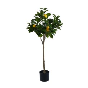 Rogue Lemon Tree Green 120x60x60cm