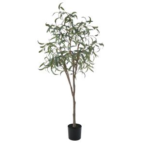 Rogue Eucalyptus Tree Green 20x18x180cm