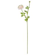 Rogue Ranunculus Spray Pink 74x18x13cm